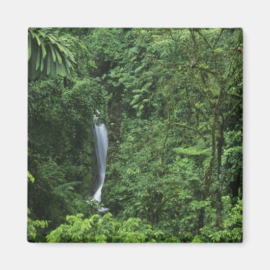 Costa Rica, gebied van de Arenal Volcano, Hangende Magneet (Voorkant)