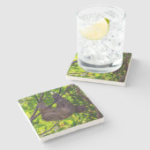 Costa Rica - Gelukkige Luie Luiaard, Antonio Manue Stenen Onderzetter (Zijkant)