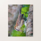 Costa Rica - Grote struikvogel Legpuzzel (Verticaal)