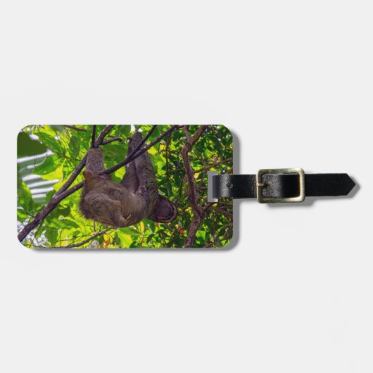 Costa Rica - Happy Lazy Sloth, Antonio Manuel NP Bagagelabel (Voorkant horizontaal)