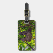 Costa Rica - Happy Lazy Sloth, Antonio Manuel NP Bagagelabel (Voorkant verticaal)
