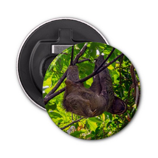 Costa Rica - Happy Lazy Sloth, Antonio Manuel NP Button Flesopener (Voorkant)