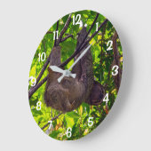 Costa Rica - Happy Lazy Sloth, Antonio Manuel NP Grote Klok (Hoek)