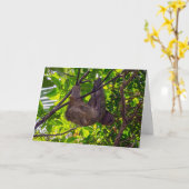 Costa Rica - Happy Lazy Sloth, Antonio Manuel NP Kaart (Gele Bloem)