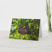 Costa Rica - Happy Lazy Sloth, Antonio Manuel NP Kaart (Voorkant)