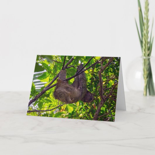 Costa Rica - Happy Lazy Sloth, Antonio Manuel NP Kaart (Voorkant)