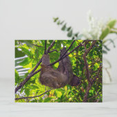 Costa Rica - Happy Lazy Sloth, Antonio Manuel NP Kaart (Staand voorkant)