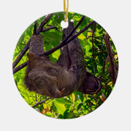 Costa Rica - Happy Lazy Sloth, Antonio Manuel NP Keramisch Ornament (Voorkant)