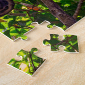 Costa Rica - Happy Lazy Sloth, Antonio Manuel NP Legpuzzel (Zijkant)