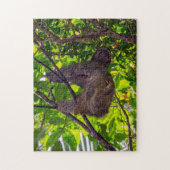Costa Rica - Happy Lazy Sloth, Antonio Manuel NP Legpuzzel (Verticaal)