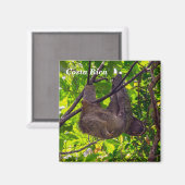 Costa Rica - Happy Lazy Sloth, Antonio Manuel NP Magneet (Voorkant / Achterkant)