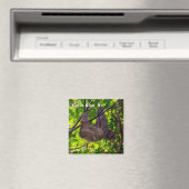 Costa Rica - Happy Lazy Sloth, Antonio Manuel NP Magneet (Insitu (Vaatwasser))