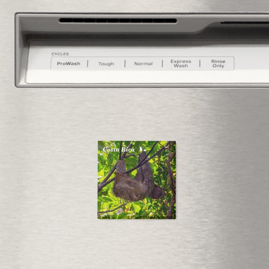 Costa Rica - Happy Lazy Sloth, Antonio Manuel NP Magneet (Insitu (Vaatwasser))