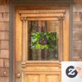 Costa Rica - Happy Lazy Sloth, Antonio Manuel NP Raamsticker (Huis Deur)