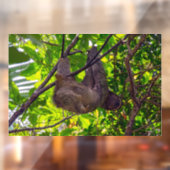 Costa Rica - Happy Lazy Sloth, Antonio Manuel NP Raamsticker (Vel 2)