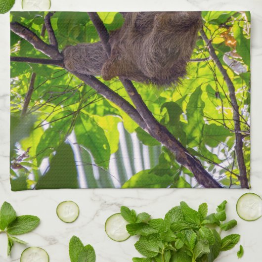Costa Rica - Happy Lazy Sloth, Antonio Manuel NP Theedoek (Gevouwen)
