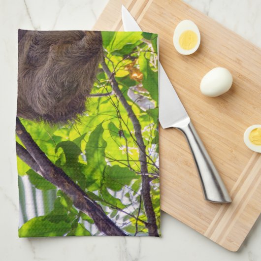 Costa Rica - Happy Lazy Sloth, Antonio Manuel NP Theedoek (Quarter Fold)