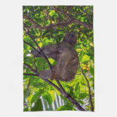 Costa Rica - Happy Lazy Sloth, Antonio Manuel NP Theedoek (Verticaal)