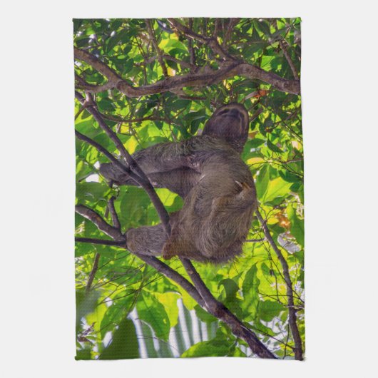 Costa Rica - Happy Lazy Sloth, Antonio Manuel NP Theedoek (Verticaal)