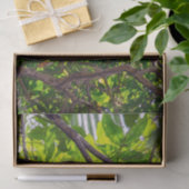 Costa Rica - Happy Lazy Sloth, Antonio Manuel NP Tissuepapier (Geschenk)