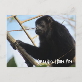 Costa Rica Howler Monkey Briefkaart