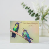 Costa Rica Hummingbird Briefkaart (Staand voorkant)