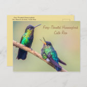 Costa Rica Hummingbird Briefkaart (Voorkant / Achterkant)