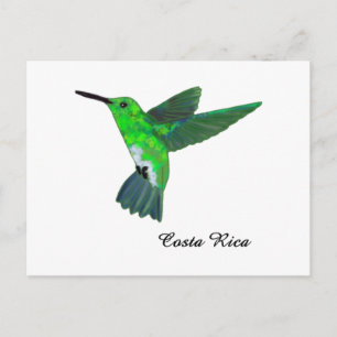 Costa Rica Hummingbird Briefkaart