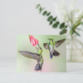 Costa Rica Hummingbird Couple Flying Together Briefkaart (Staand voorkant)