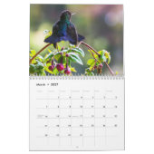Costa Rica in het wild Kalender (Mar 2027)