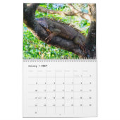 Costa Rica in het wild Kalender (Jan 2027)