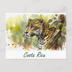 Costa Rica Jaguar Briefkaart