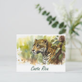 Costa Rica Jaguar Briefkaart (Staand voorkant)