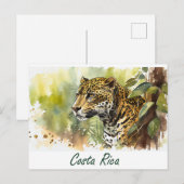 Costa Rica Jaguar Briefkaart (Voorkant / Achterkant)