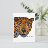 Costa Rica Jaguar Briefkaart (Staand voorkant)
