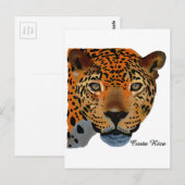 Costa Rica Jaguar Briefkaart (Voorkant / Achterkant)