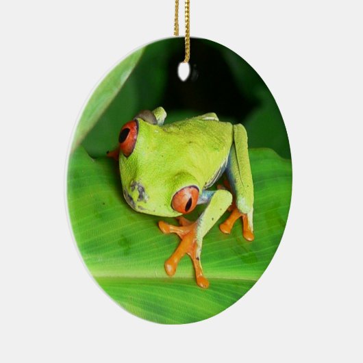 Costa Rica Keramisch Ornament (Rechts)