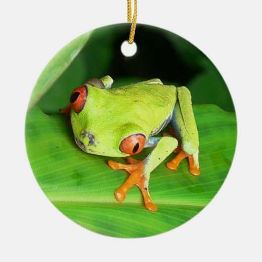 Costa Rica Keramisch Ornament (Voorkant)