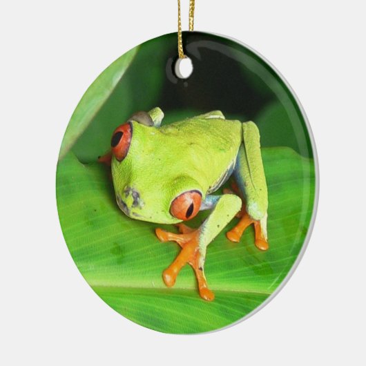 Costa Rica Keramisch Ornament (Links)