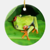 Costa Rica Keramisch Ornament (Achterkant)