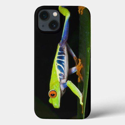 Costa Rica, kikker met rode ogen (Agalychnis) Case-Mate iPhone Case (Achterkant)