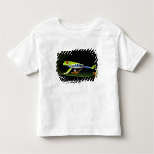 Costa Rica, kikker met rode ogen (Agalychnis) Kinder Shirts