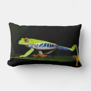 Costa Rica, kikker met rode ogen (Agalychnis) Kussen