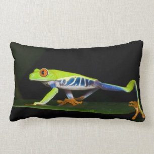 Costa Rica, kikker met rode ogen (Agalychnis) Kussen