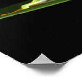 Costa Rica, kikker met rode ogen (Agalychnis) Poster (Hoek)