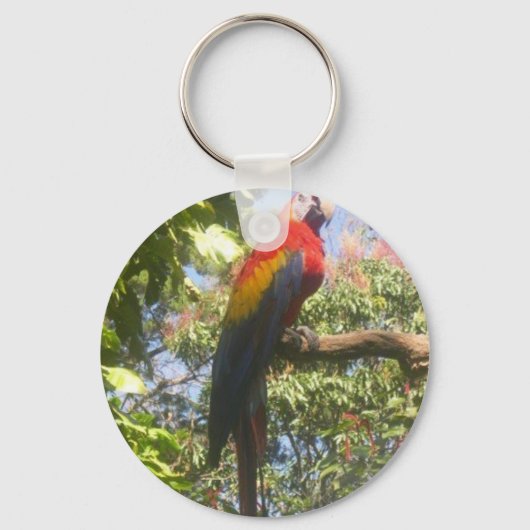 Costa Rica Macaw Sleutelhanger (Voorkant)