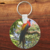 Costa Rica Macaw Sleutelhanger (Voorkant)