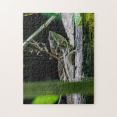 Costa Rica - Male Emerald Basilisk Lizard Legpuzzel (Verticaal)