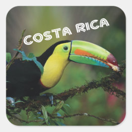 Costa Rica met kleurrijke Toucan Vierkante Sticker