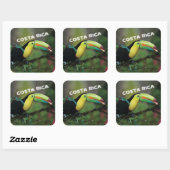 Costa Rica met kleurrijke Toucan Vierkante Sticker (Vel)